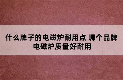 什么牌子的电磁炉耐用点 哪个品牌电磁炉质量好耐用